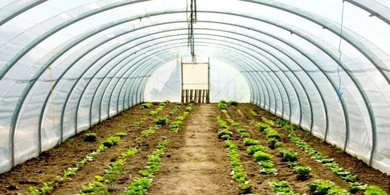 گلخانه ای گلخانه ای